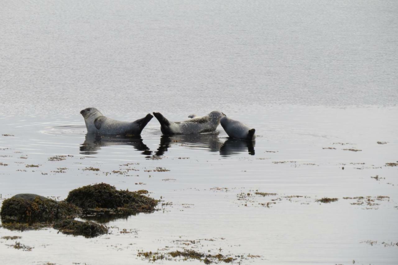 Hvammur 2 Bjarg With Private Hot Tub Drangsnes Екстер'єр фото
